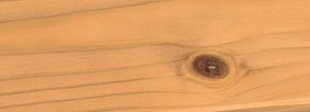 Mẫu màu gỗ thông