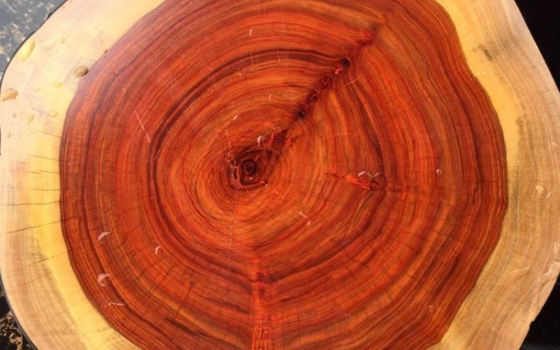 Tầm quan trọng và giá trị của gỗ hương