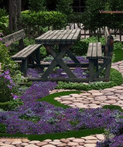 Bàn Ghế Picnic BG13 - Có Tựa Lưng Khung Giằng X, Gỗ Thông