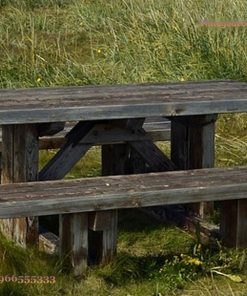 Bàn Ghế Picnic BG16 - Mặt Ván Dày Ghế Băng Rời, Gỗ Thông