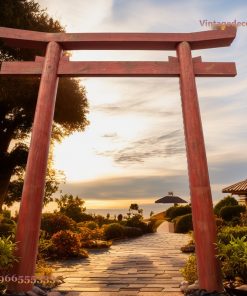 Cổng Torii Nhật Bản C14 - Trụ Đỏ Lối Vào View Biển, Gỗ Thông