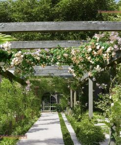 Giàn Hoa Pergola P16 - Hành Lang Dài Phủ Hoa Hồng Leo, Gỗ Thông