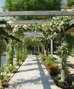 Giàn Hoa Pergola P16 - Hành Lang Dài Phủ Hoa Hồng Leo, Gỗ Thông