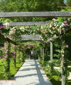Giàn Hoa Pergola P16 - Hành Lang Dài Phủ Hoa Hồng Leo, Gỗ Thông