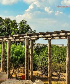 Giàn Hoa Pergola P21 - Cột Gỗ Tròn Mộc Dầm Ngang, Gỗ Thông