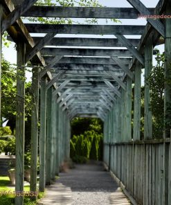 Giàn Hoa Pergola P24 - Hành Lang Dài Khung Gỗ Chéo, Gỗ Thông