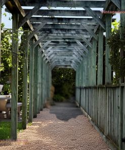 Giàn Hoa Pergola P24 - Hành Lang Dài Khung Gỗ Chéo, Gỗ Thông