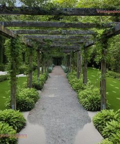 Giàn Hoa Pergola P26 - Lối Đi Dài Phủ Dây Leo, Gỗ Thông