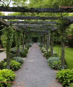 Giàn Hoa Pergola P26 - Lối Đi Dài Phủ Dây Leo, Gỗ Thông