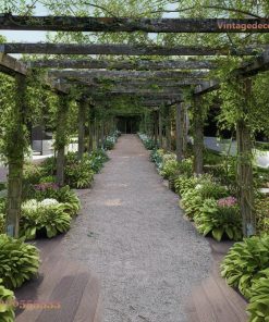 Giàn Hoa Pergola P26 - Lối Đi Dài Phủ Dây Leo, Gỗ Thông