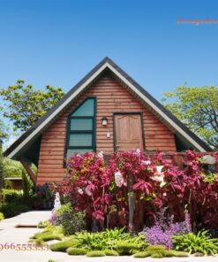 Nhà Gỗ Homestay S64 - A-Frame Vách Gỗ Cửa Xanh, Gỗ Thông