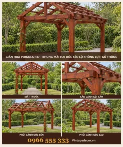 Giàn hoa pergola P37 mái hai dốc kèo lộ – ảnh ghép mặt trước, kết cấu, góc bên, góc sau