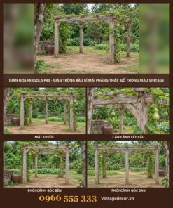 Giàn Hoa Pergola P43 - Giàn Trồng Bầu Bí Mái Phẳng Thấp, Gỗ Thông Màu Vintage