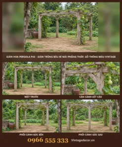 Giàn hoa pergola P43 trồng bầu bí mái phẳng – ảnh ghép mặt trước, kết cấu, góc bên, góc sau