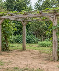 Giàn Hoa Pergola P43 - Giàn Trồng Bầu Bí Mái Phẳng Thấp, Gỗ Thông Màu Vintage
