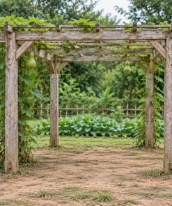 Giàn Hoa Pergola P43 - Giàn Trồng Bầu Bí Mái Phẳng Thấp, Gỗ Thông Màu Vintage