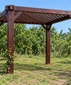 Giàn Hoa Pergola P50 - Mái Nan Đặt Chéo Góc, Gỗ Thông Màu Nâu Cánh Gián