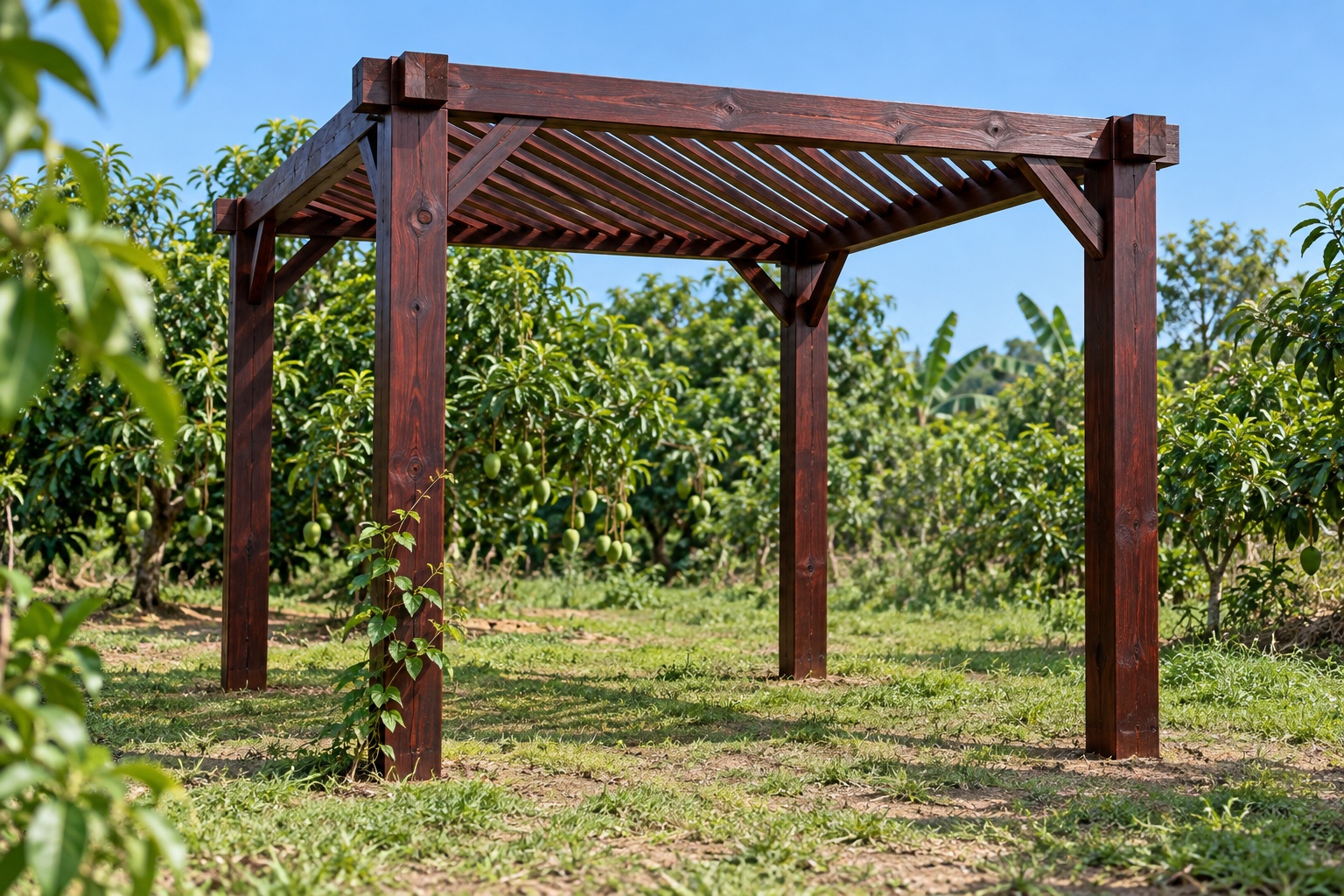 Giàn Hoa Pergola P50 - Mái Nan Đặt Chéo Góc, Gỗ Thông Màu Nâu Cánh Gián Giàn Hoa Pergola P50 - Mái Nan Đặt Chéo Góc, Gỗ Thông Màu Nâu Cánh Gián
