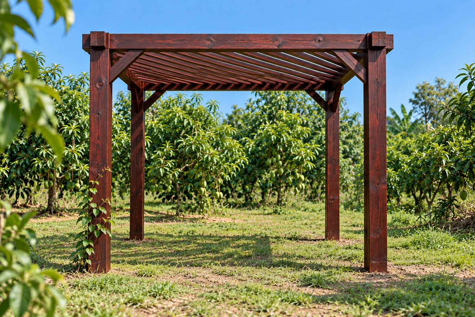 Giàn Hoa Pergola P50 - Mái Nan Đặt Chéo Góc, Gỗ Thông Màu Nâu Cánh Gián Giàn Hoa Pergola P50 - Mái Nan Đặt Chéo Góc, Gỗ Thông Màu Nâu Cánh Gián