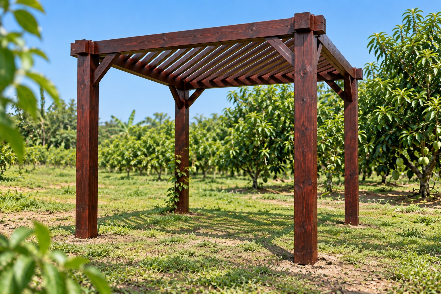 Giàn Hoa Pergola P50 - Mái Nan Đặt Chéo Góc, Gỗ Thông Màu Nâu Cánh Gián Giàn Hoa Pergola P50 - Mái Nan Đặt Chéo Góc, Gỗ Thông Màu Nâu Cánh Gián