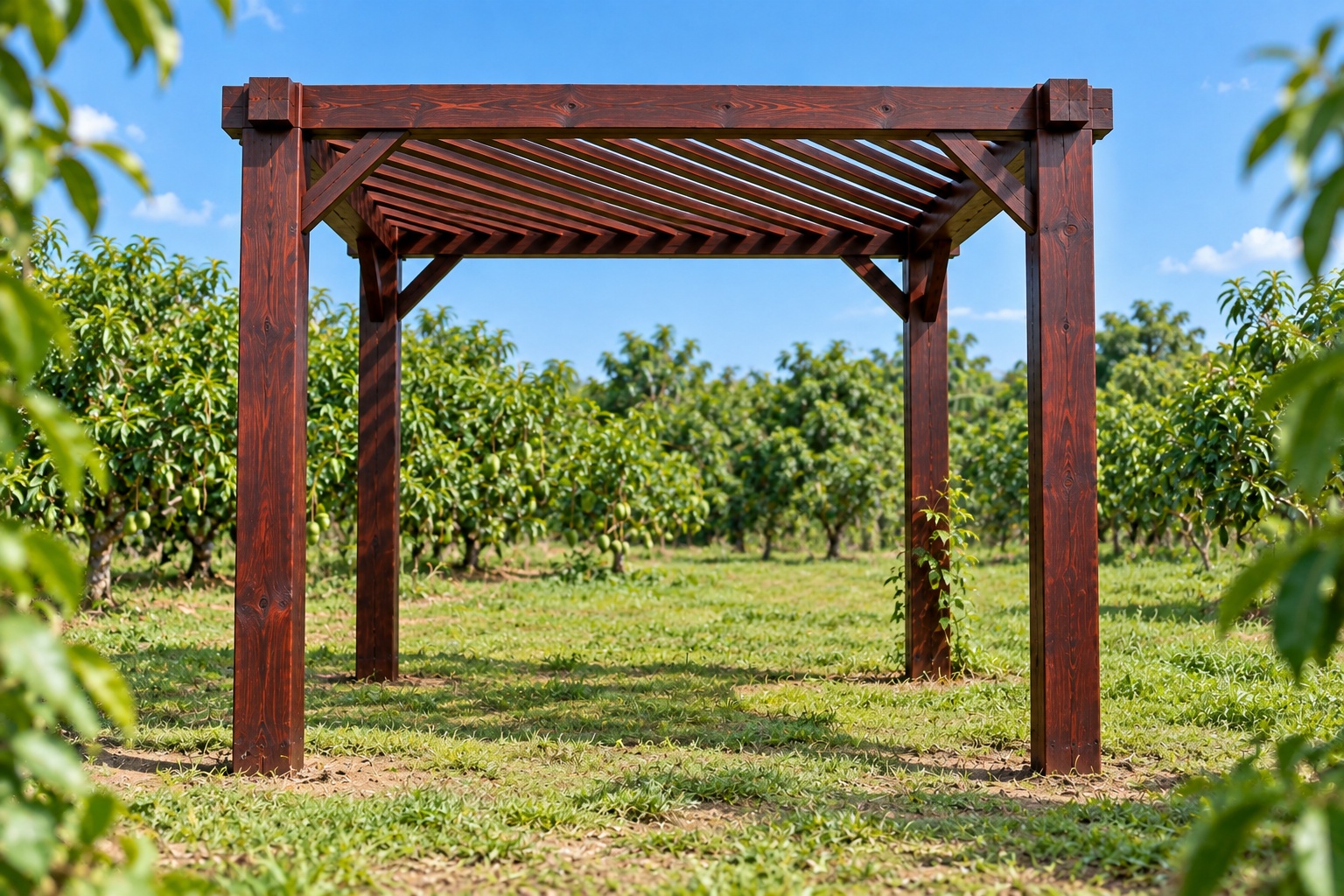 Giàn Hoa Pergola P50 - Mái Nan Đặt Chéo Góc, Gỗ Thông Màu Nâu Cánh Gián Giàn Hoa Pergola P50 - Mái Nan Đặt Chéo Góc, Gỗ Thông Màu Nâu Cánh Gián