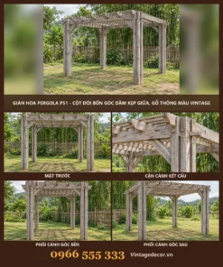 Giàn hoa pergola P51 cột đôi dầm kẹp giữa – ảnh ghép mặt trước, kết cấu, góc bên, góc sau