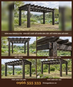 Giàn hoa pergola P56 dầm bắt chốt xuyên cột – ảnh ghép mặt trước, kết cấu, góc bên, góc sau