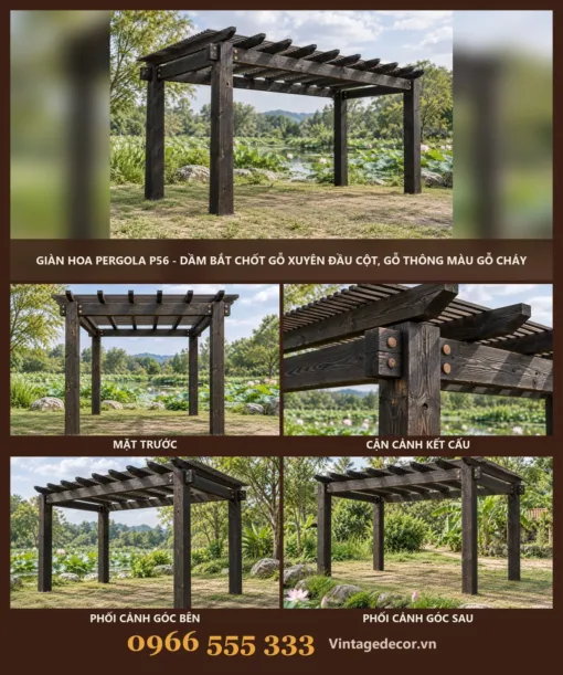 Giàn hoa pergola P56 dầm bắt chốt xuyên cột – ảnh ghép mặt trước, kết cấu, góc bên, góc sau