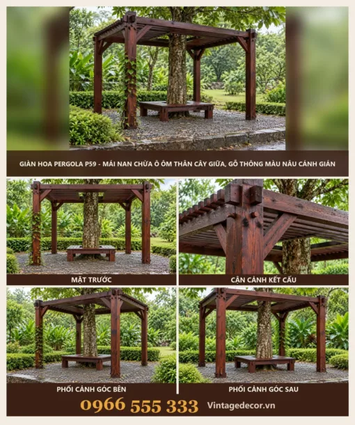 Giàn Hoa Pergola P59 - Mái Nan Chừa Ô Ôm Thân Cây Giữa, Gỗ Thông Màu Nâu Cánh Gián Giàn Hoa Pergola P59 - Mái Nan Chừa Ô Ôm Thân Cây Giữa, Gỗ Thông Màu Nâu Cánh Gián