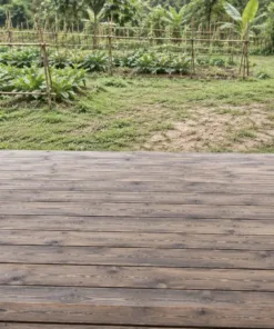 Hiên gỗ SG3 – nhìn từ trong nhà ra, mặt hiên trước cửa và vườn rau phía xa